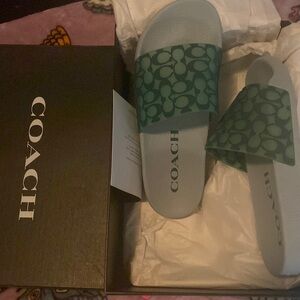 Green and baby blue coach slides